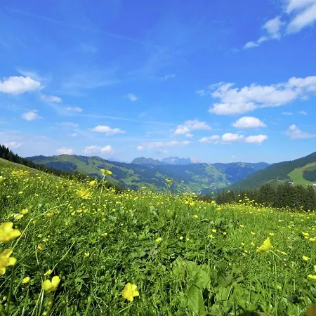 In Area In * Saalbach-Hinterglemm