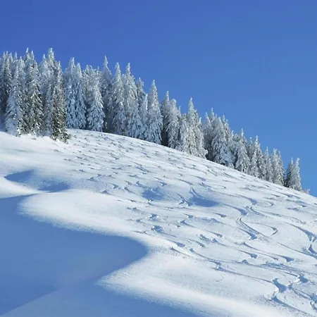 In Area In Chalet Saalbach-Hinterglemm